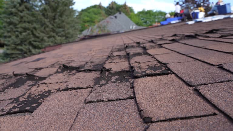 Best Chimney Flashing Repair  in Arkwright, SC