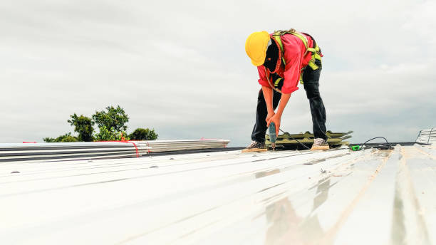 Best Roof Moss and Algae Removal  in Arkwright, SC