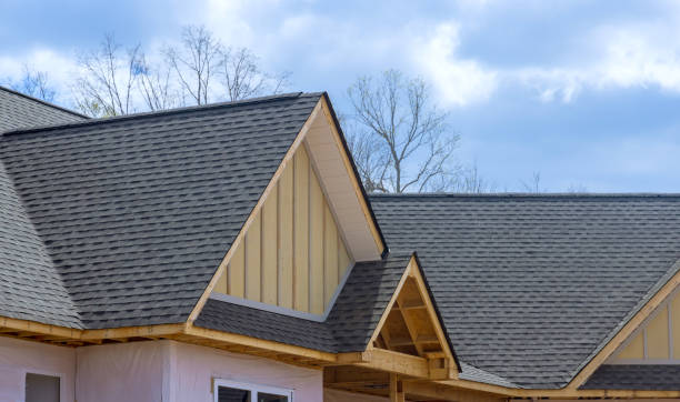 Best Solar Panel Roofing Installation  in Arkwright, SC